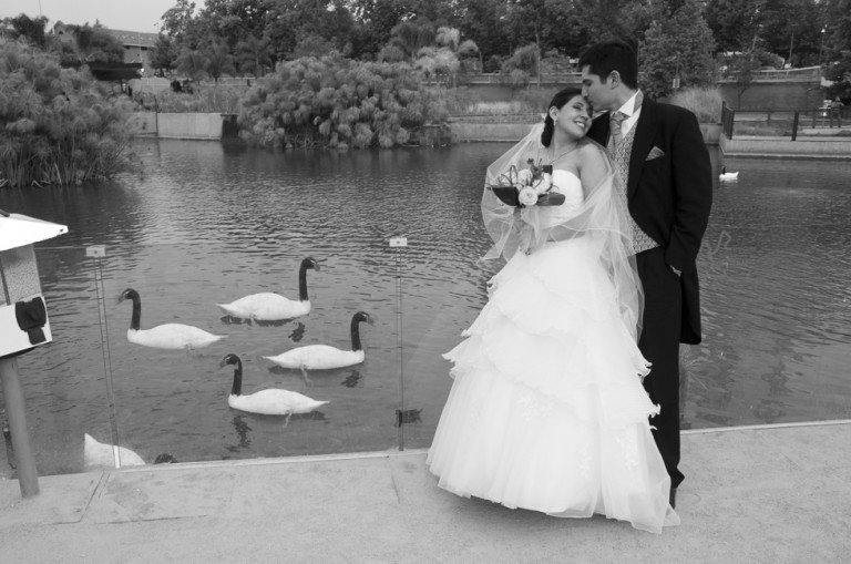 Matrimonios